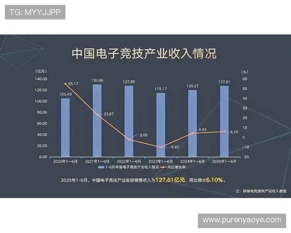 聚焦电竞产业发展探讨数字竞技文化崛起与青年创新力量融合路径 聚焦电竞产业发展探讨数字竞技文化崛起与青年创新力量融合路径