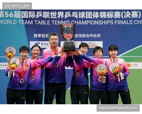 南京乒乓球队团队协作表现的数据分析与提升策略探讨