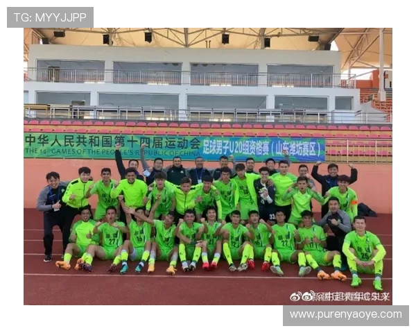 南京足球队在全运会积分榜中以95分稳居第一名引发关注