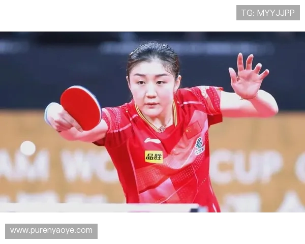 武汉排球队逆袭之路揭秘：从低谷到巅峰的奋斗与荣耀