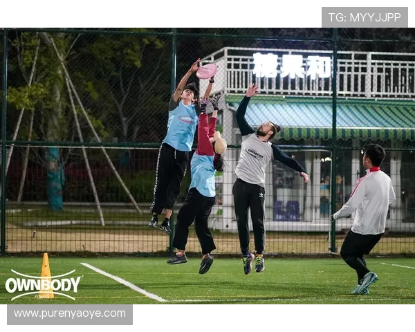 深圳飞盘队与西安飞盘队耐力较量赛后深度分析与反思