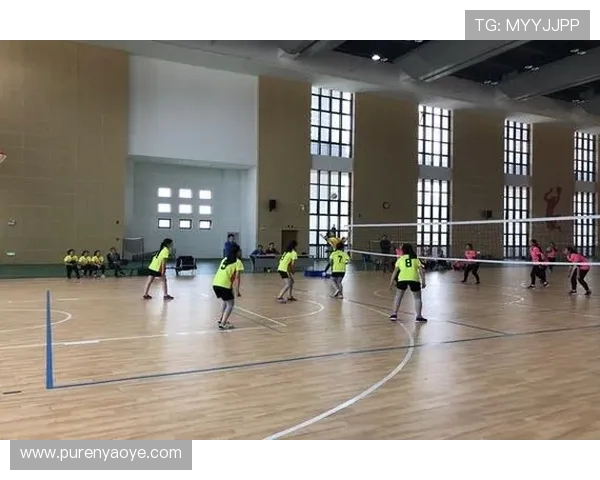 西安排球队强势领跑最新排球节奏TOP10榜单分析 西安排球队强势领跑最新排球节奏TOP10榜单分析