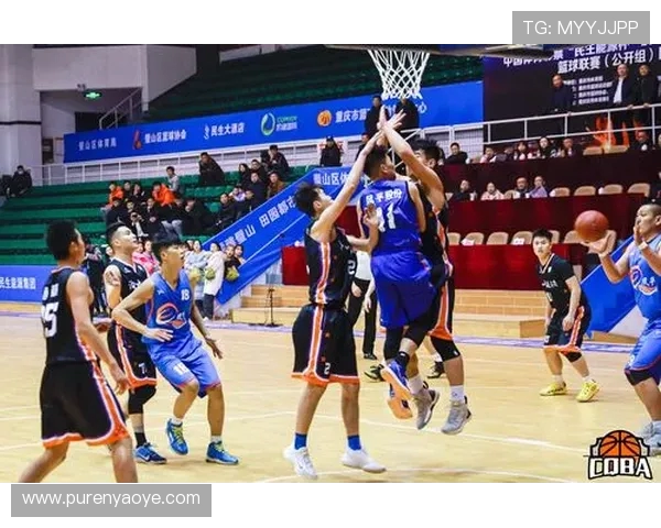 重庆篮球队灵活性排名第四引发关注各队实力对比分析