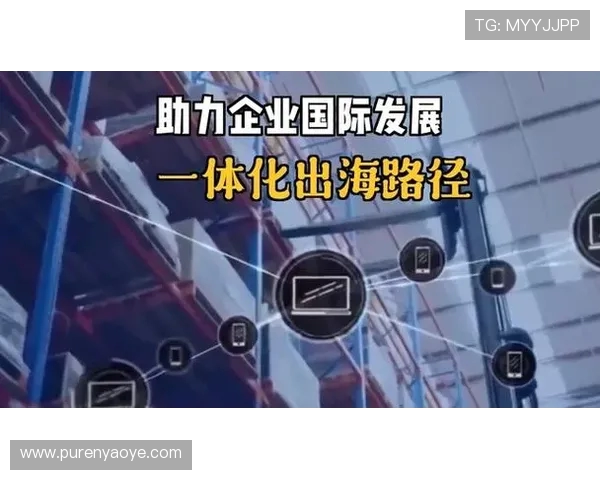 以上海海港为核心推动区域经济一体化与全球航运枢纽建设的战略规划分析